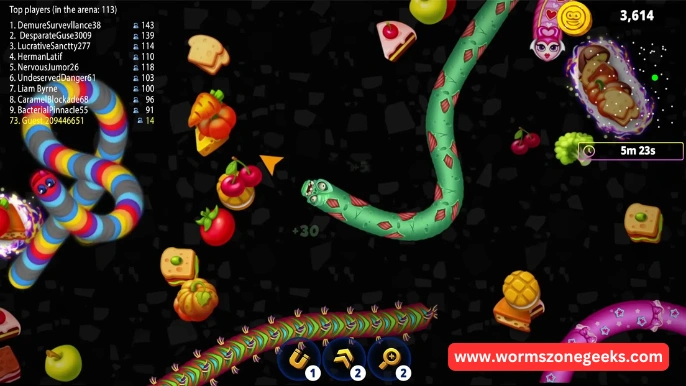 Bsics in Worms Zone